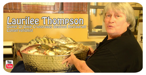 CLICK to view Laurilee Thompson on preserving the Indian River Lagoon.